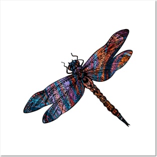 Ornate Dragon Fly Colorful Insect Illustration Posters and Art